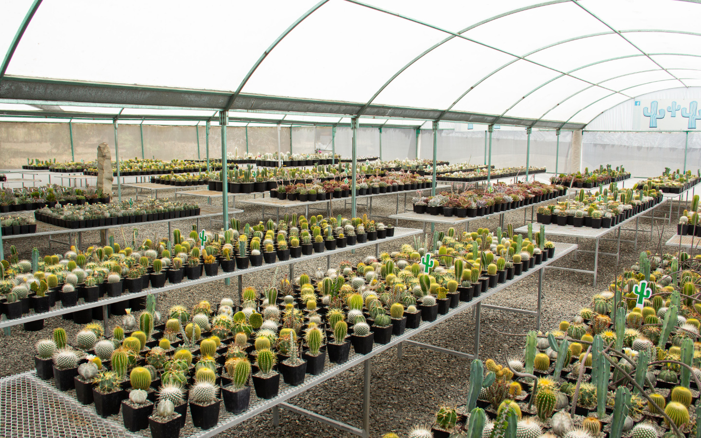 Cactibiosfera Photo 1